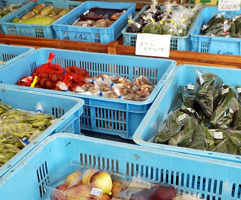 やさい直売所やさい直売所岩船港鮮魚センター店